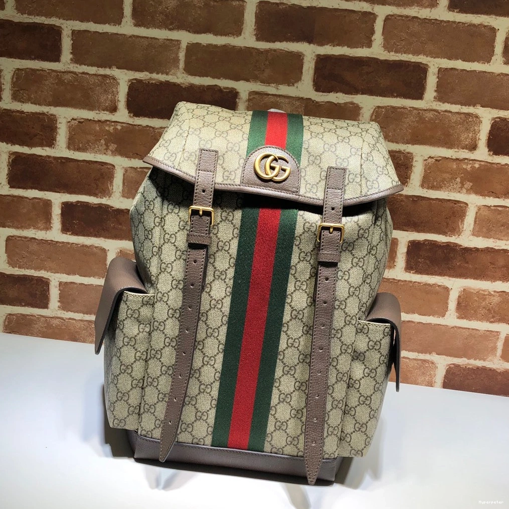 Gucci Ophidia backpack GG medium 0728
